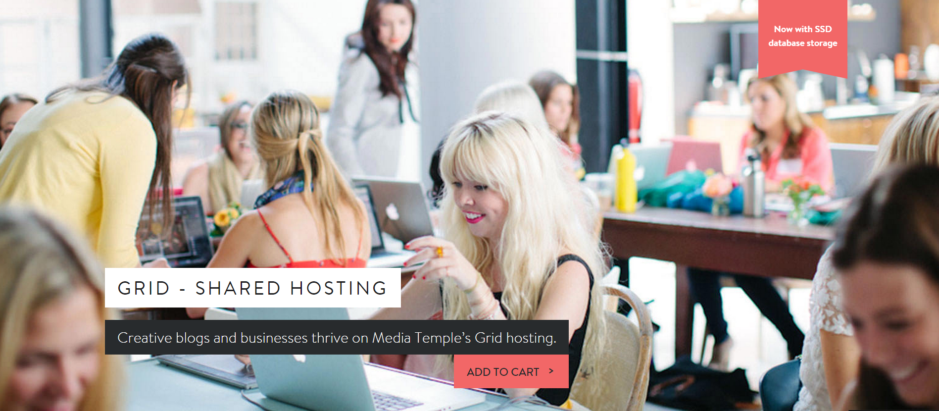 Media temple hosting plan shared hosting- Media Temple Coupon Codes