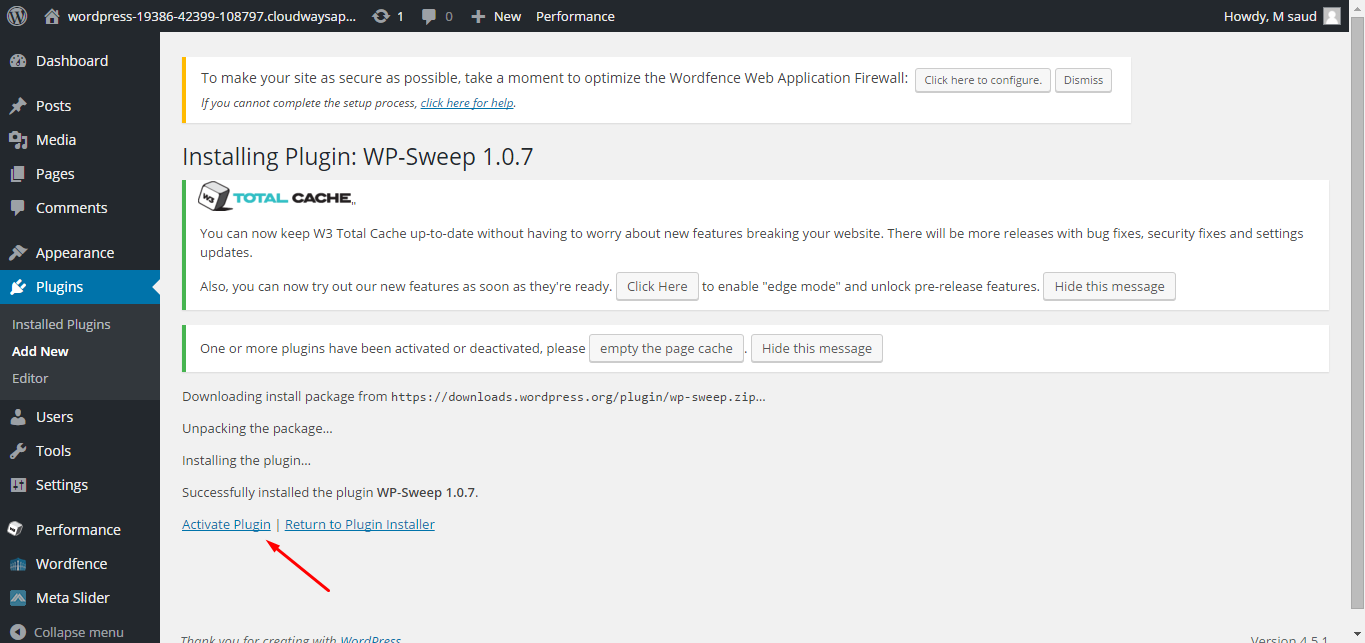 install WP Sweep Plugin 