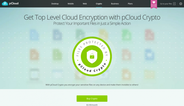 pCloud Encrypted Cloud Storage Cloud Encryption Software