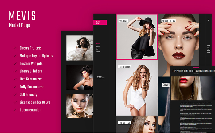 Mevis Personal Porfolio WP Theme