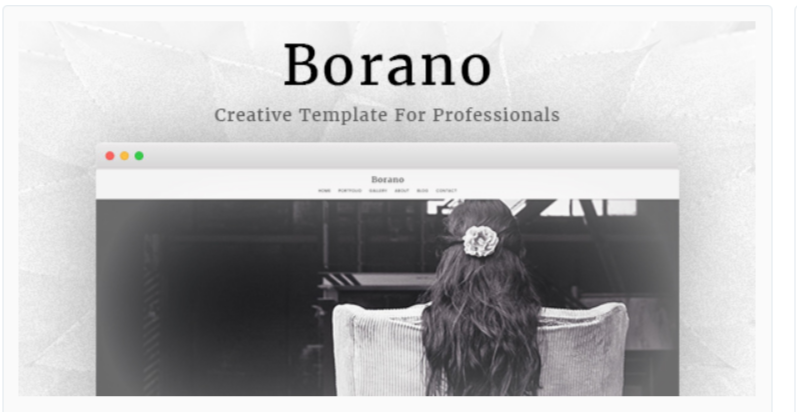 Borano-Photography WordPress Themes