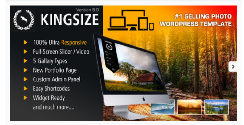 King Size- Photography WordPress Themes