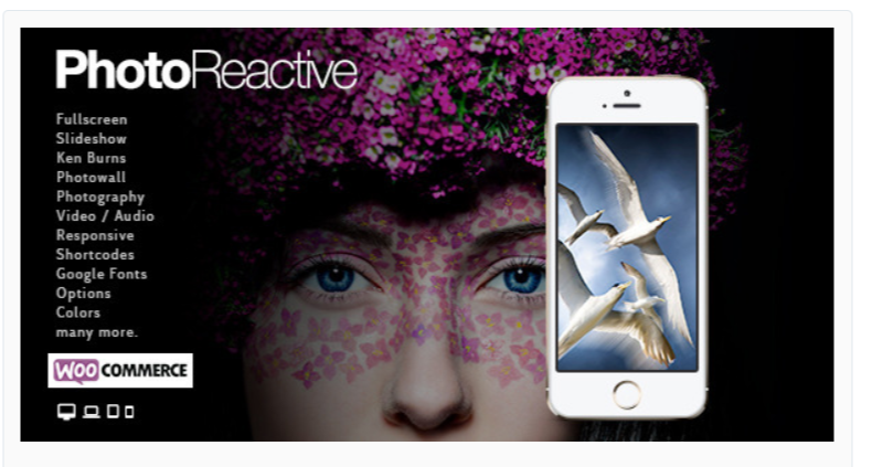 PhotoReactive-Photography WordPress Themes