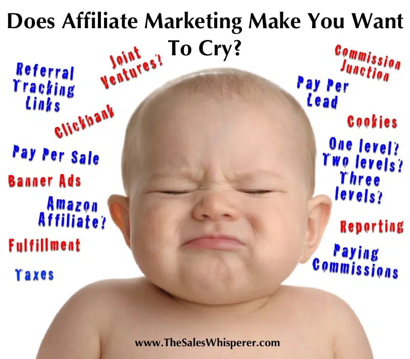 Automated Affiliate Marketing software 