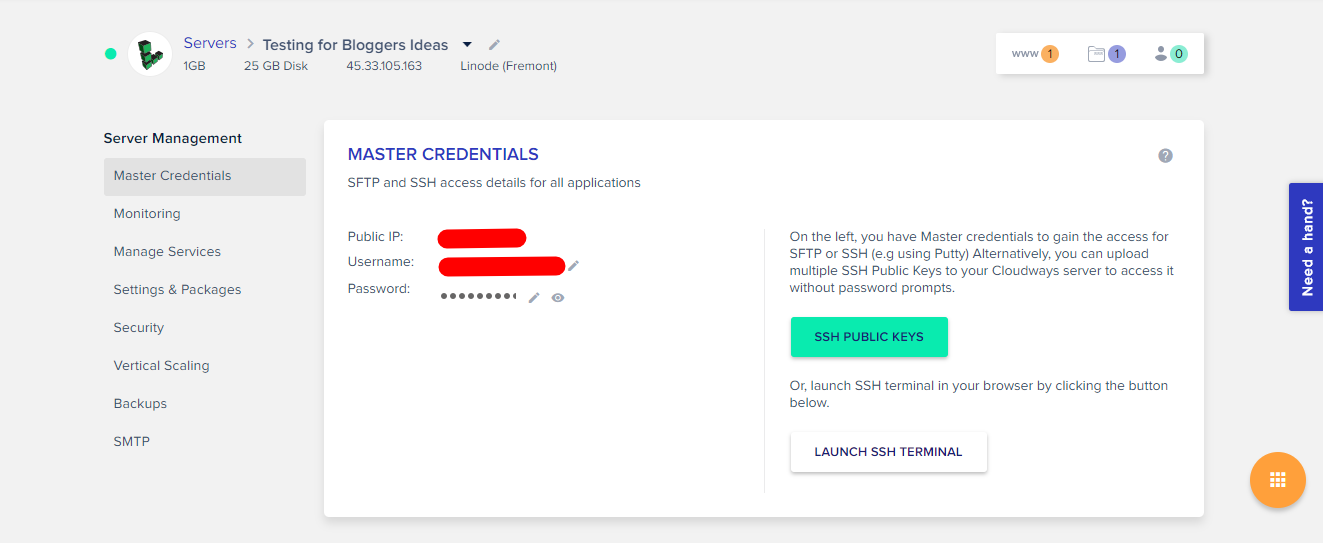 Cloudways Review- Master Credentials