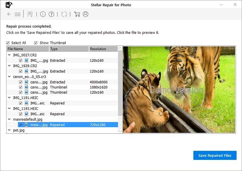 Photo Repair Online - Select Save Repaired Files