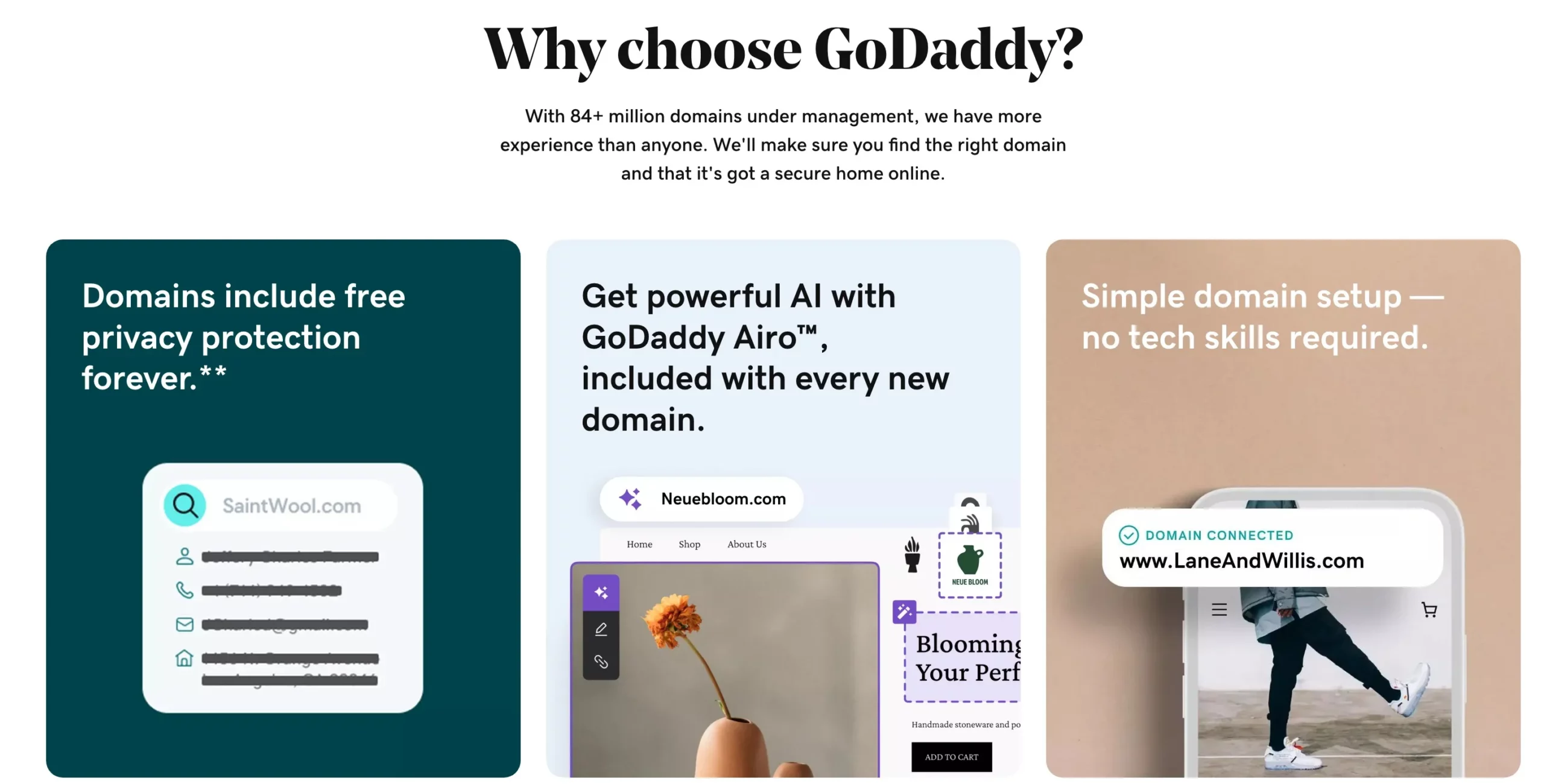 GoDaddy - Why Choose?