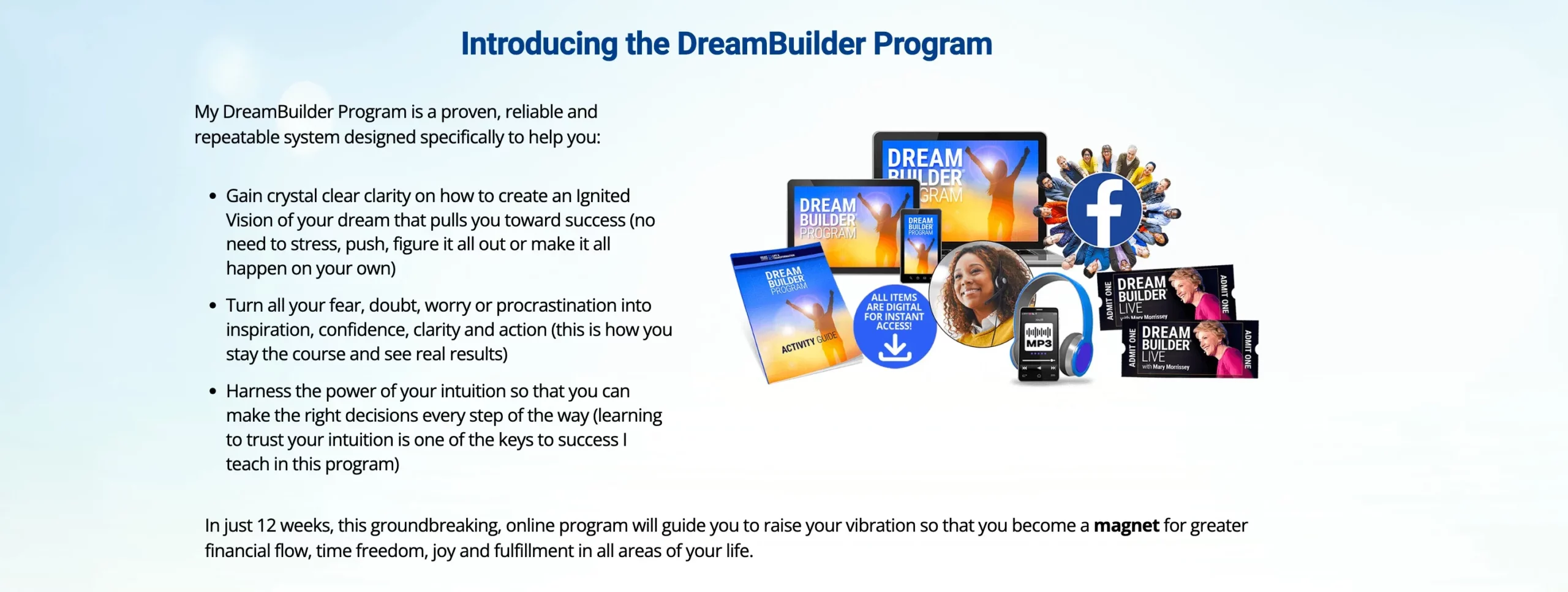 What Is A DreamBuilder Program?