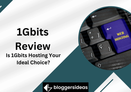 1Gbits Review 2024: Is 1Gbits Hosting Your Idea...
